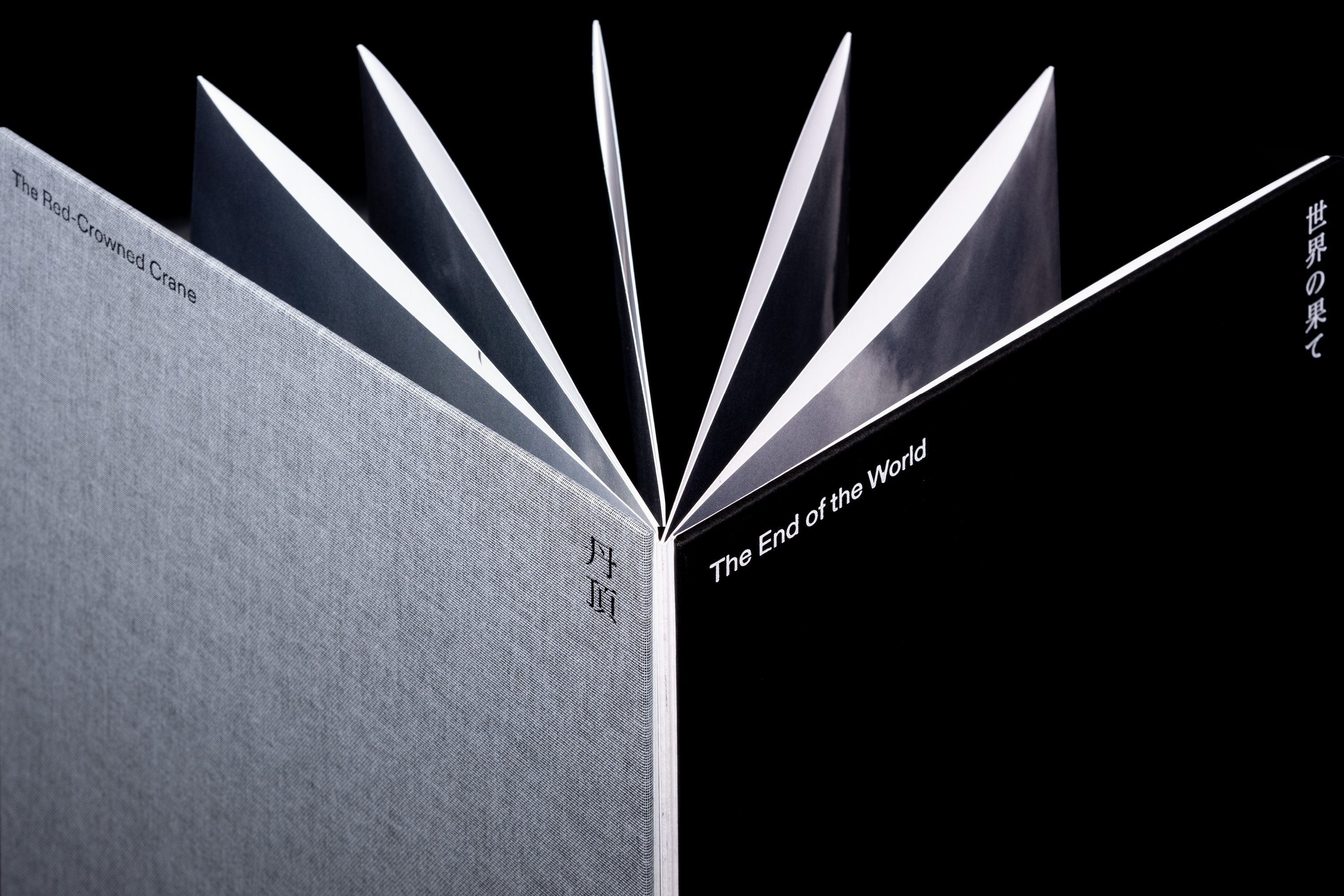 The Red Crowned-Crane & The End of the World”